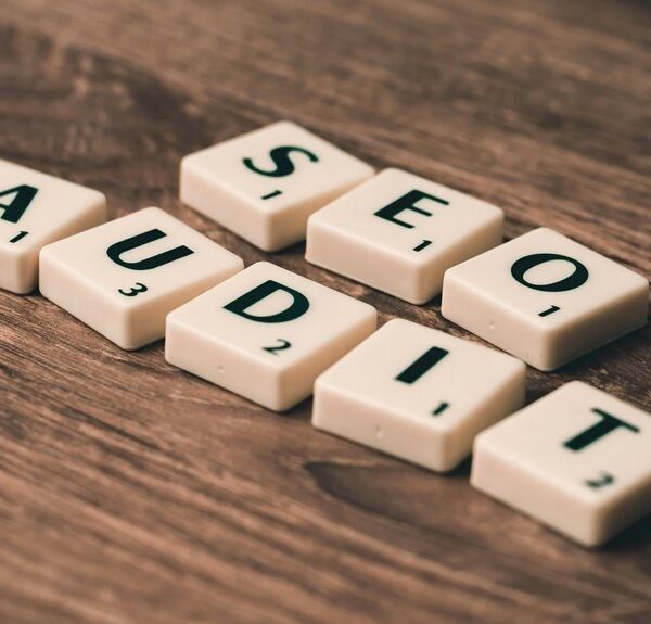 expert seo for authority