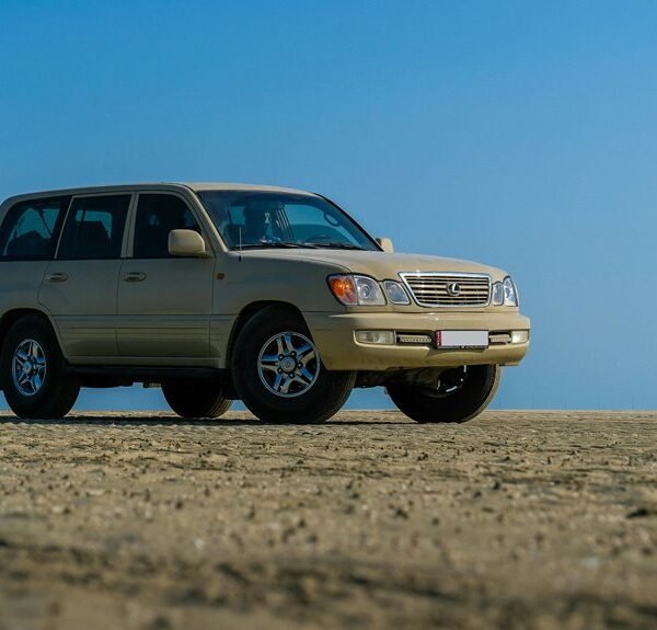 reliable digital platform stability