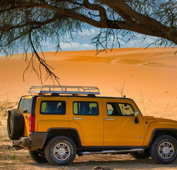 reliable web architecture expansion plan